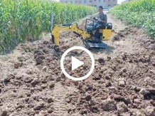小型挖掘機玉米地挖地視頻
