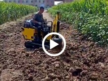 小型挖掘機玉米田裏幹農活